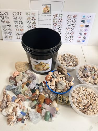Generic Ultimate Mining Bucket/Gemstones/Crystals/Fossils/Seashells/Gifts for Boys and Girls/Unique Gifts