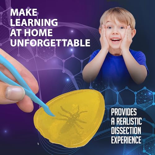 Discover-It Ancient Amber, Science Lab Kit, STEM Toys for Kids, Ages 5+ - style: Ancient Amber