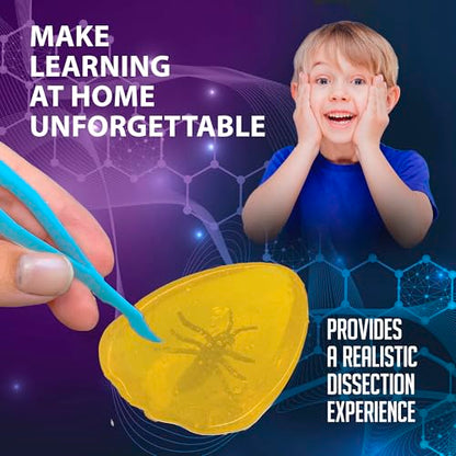 Discover-It Ancient Amber, Science Lab Kit, STEM Toys for Kids, Ages 5+ - style: Ancient Amber