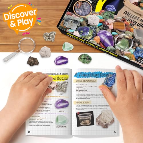 EDUMAN Rock Collection for Kids, 12 Specimens Box + 700g Real Crystals & Minerals STEM Gemstone Kit for Kids with Rock Identifier & Magnifier, Educational Geology Gift for Boys Girls Ages 6-12