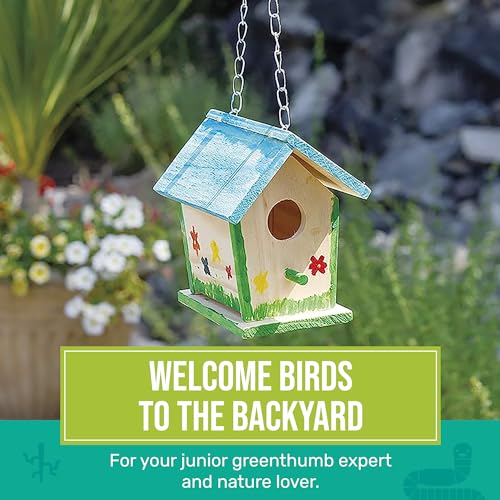 Beetle & Bee Build A Bird Bungalow - DIY Kid Art Craft Outdoor Birdhouse Kit, House Painting Kit for Kids, Hardware Glue Included- 4 Paints, 1 Brush, 7 Wooden Pcs, Chain For Tree Hanging Age 5+ - style: Build a Bird Bungalow