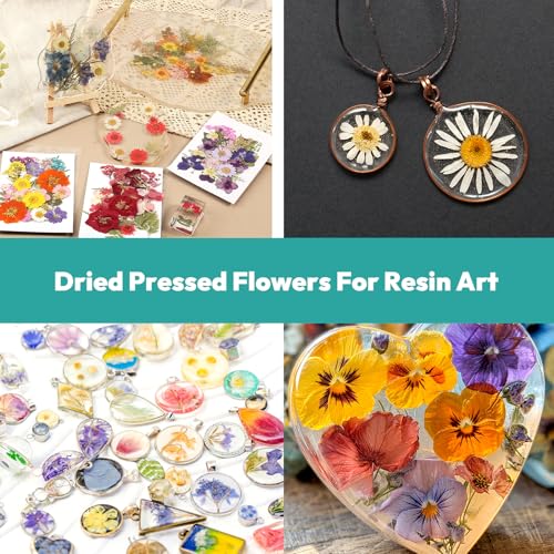 Dried Flowers, Resiners 58Pcs Pressed Flowers for Craft - color: Berry Red 58pcs