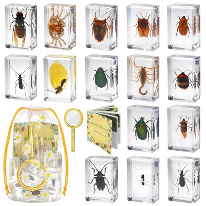 15 Real Insect Resin Specimens Set - Various Real Bug Specimens in Resin for Science Education, Classroom Biology, Bug Observation Kit with Storage Bag, Magnifying Glass & Instructions
