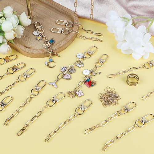 Starry 126Pcs Keychain Making Kit DIY Bag Charm Kit 25 Set Keychain Clips with Extender Chain Bulk 100 Jump Ring for Jewelry Bags Accessories DIY Craft Supplies - style: 25 Set