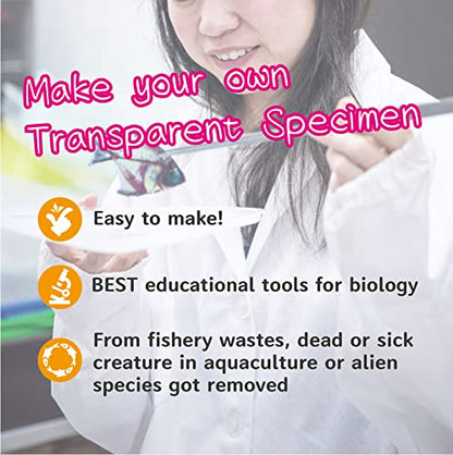 DIY Transparent Specimen Kit, Fish - style: DIY Kit, Fish