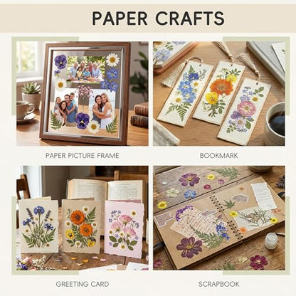 LUXEEASE 4-Color 100P Vibrant Dried Pressed Flowers - color: Blue/Orange/Pink/Purple 100p