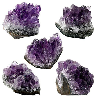 SUNYIK Pack of 5 Mini Natural Raw Amethyst Crystal Cluster Geode Home Decor