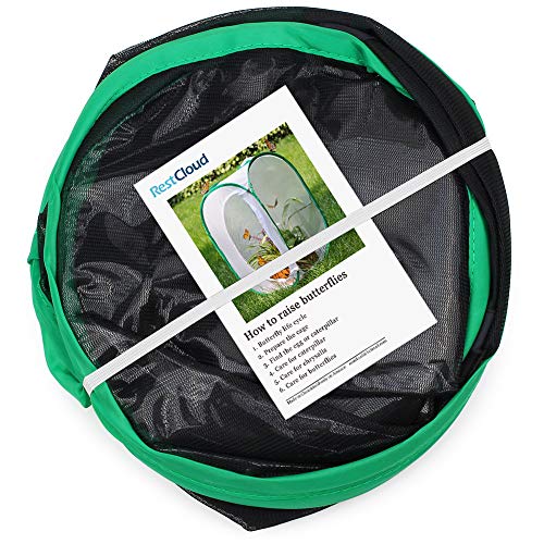 RESTCLOUD 36" Large Monarch Butterfly Habitat, Giant Collapsible Insect Mesh Cage Terrarium Pop-up 24 x 24 x 36 Inches - color: Black with Green