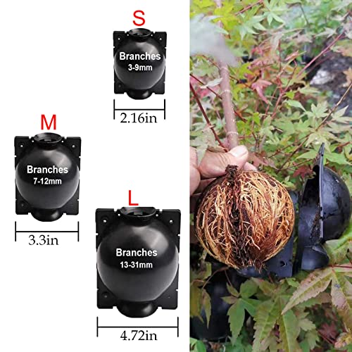 Tree Root Growing Box, Reusable Transparent Plants Asexual Reproduction Grafting Ball, High Pressure Air Layering Pods Propagation Kit (20pcs Small) - color: White-s-20pack