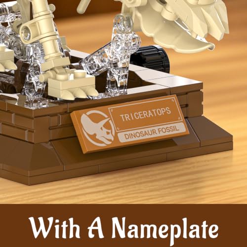 Dinosaur Fossil Building Sets, Mechanical Dino Skeleton Model - color: Dinosaur