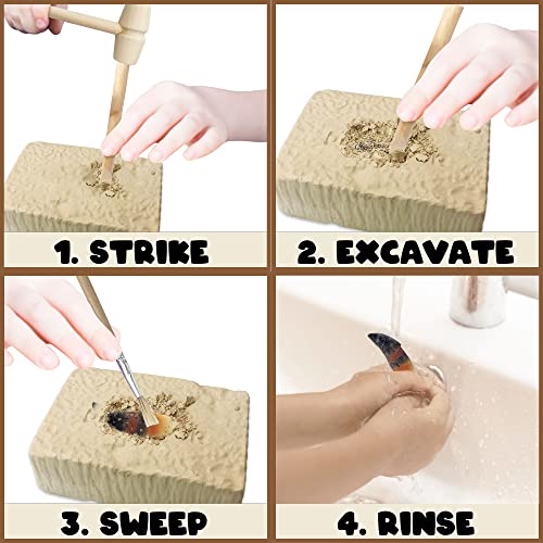 ArtCreativity Dinosaur Dig Kit, T-Rex & Tarbosaurus Fossil Teeth 2-Pack