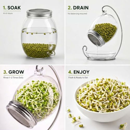Premium Sprouting Jar Kit - Unique 30 oz Wide Mouth Sprouting Jar, Stand, Tray and 316 Stainless Screen Lid | Decorative Indoor Seed Sprouter and Germinator (1 Kit)