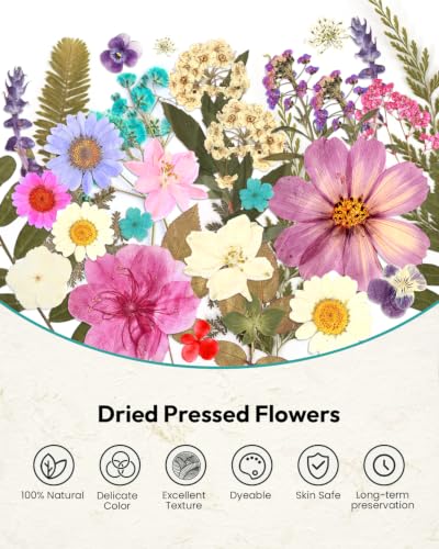 Dried Flowers, Resiners 100Pcs Pressed Flowers for Craft - color: Blossom 100pcs