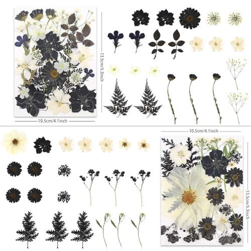 LUXEEASE 90P Halloween Black & White Dried Pressed Flowers - color: Black & White Halloween Style 90p