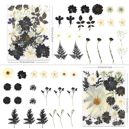 LUXEEASE 90P Halloween Black & White Dried Pressed Flowers - color: Black & White Halloween Style 90p