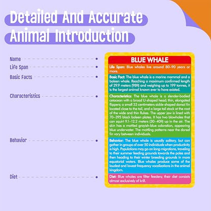 12 PCS Plastic Marine Animal Figurines with 12 Introduction Flashcards, Ocean Animals Learning Recognition Cards Realistic Undersea Animal Figures Educational Learning Toy Set for Kids, Classroom - style: Marine Animal Set (including cards)