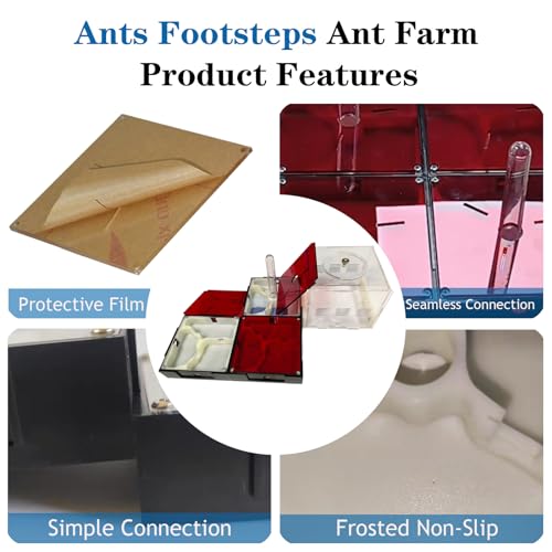Ant Farm Nest Science DIY Terrarium Kit Care for Live Ants Ant Habitat with Water Tower Nurturing Room and Comprehensive Observation-Set 4 - size: 4