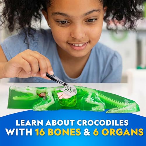 National Geographic Glow in the Dark Crocodile Dissection Lab Kit for Kids - style: Crocodile Dissection Kit