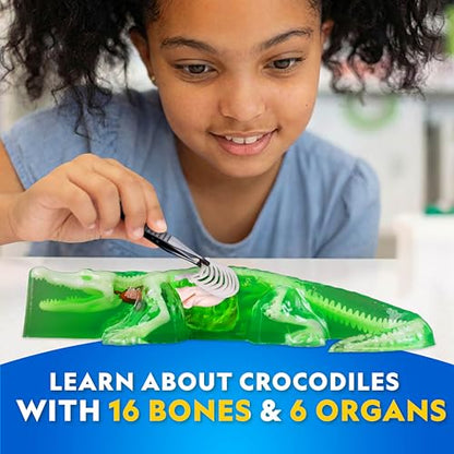 National Geographic Glow in the Dark Crocodile Dissection Lab Kit for Kids - style: Crocodile Dissection Kit