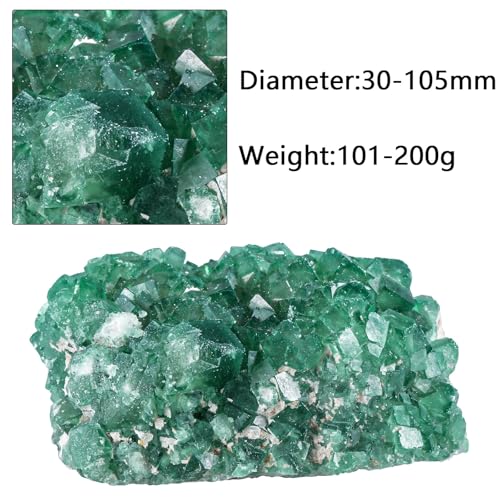 Sportmusies Natural Green Fluorite Crystal Cluster, 1.18-4.13 inches - size: 1.18 - 4.13 Inch