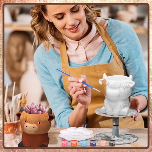 Beeveer 6 Pcs Ready to Paint Your Own Highland Cow Succulent Ceramic Pots - style: Highland Cow