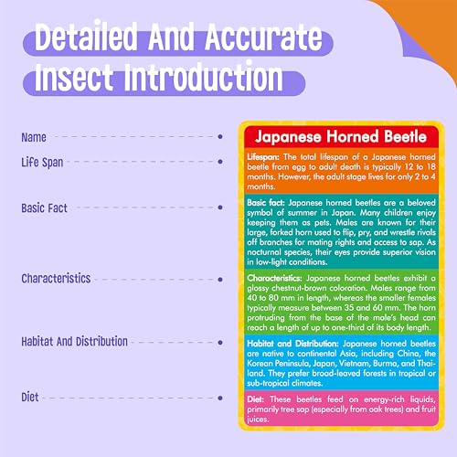 12 PCS Plastic Insect Figurines with 12 Introduction Flashcards, Small Creature Learning Recognition Cards Realistic Bug Models Educational Learning Toy Set for Kids, Classroom - style: Insect Set (including cards)