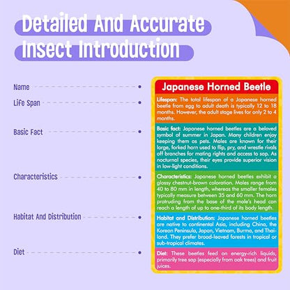 12 PCS Plastic Insect Figurines with 12 Introduction Flashcards, Small Creature Learning Recognition Cards Realistic Bug Models Educational Learning Toy Set for Kids, Classroom - style: Insect Set (including cards)