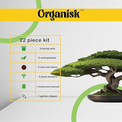 Bonsai Starter Kit - 5 Unique Tree Types, Special DIY Garden Hobby Kits - Great for Plant Lovers, for Kids, Men, Women, and Bonsai Enthusiasts