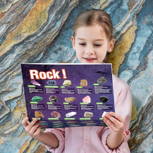 Rock Collection 48PCS, Natural Crystals & Gemstones, STEM Toy - color: 48 Rocks