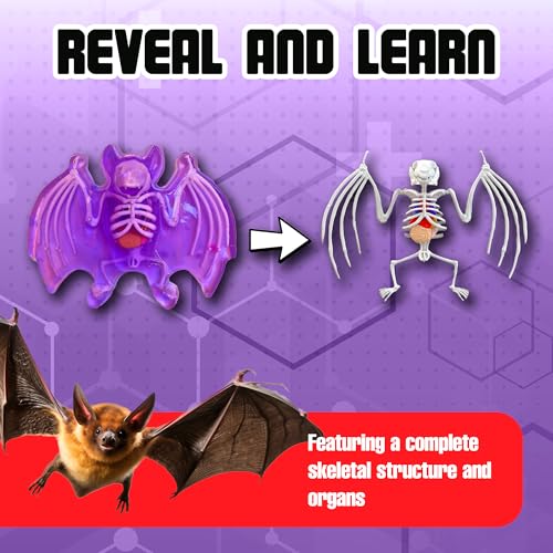 Top Secret Toys Dissect-It Mini Labs Bat Lab Dissection Kit for Kids, Realistic Synthetic Kids Science Kit - On, Biology and Animal Anatomy, STEM Toy, Ages 6+ - style: Mini Bat