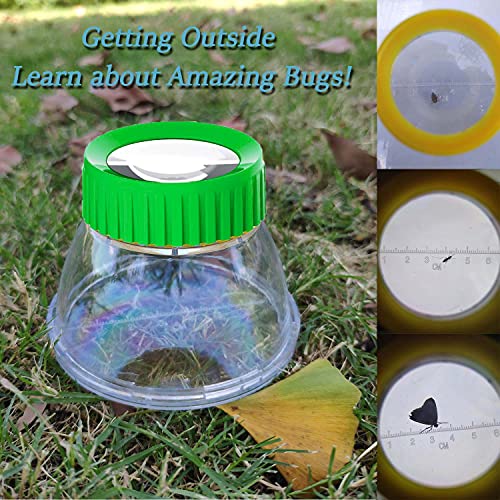 Bug Viewer for Kids 5X Magnifying Insect Observation Kit Built-in 7cm Ruler with 2 Slant Tweezers Bug Viewer Catcher Cage for Kids Science Nature Exploration (2 Pack Green), LX-4LS - color: 2 Pack Green