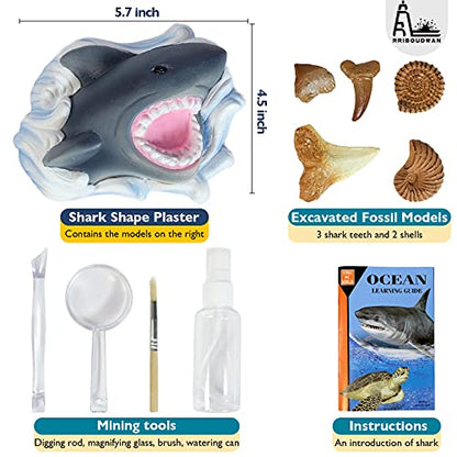 Shark Tooth Dig Kit, Shark Tooth Excavation Fossil, Shark Science Toy Gift for Kids Age 5+ for Holiday Birthday