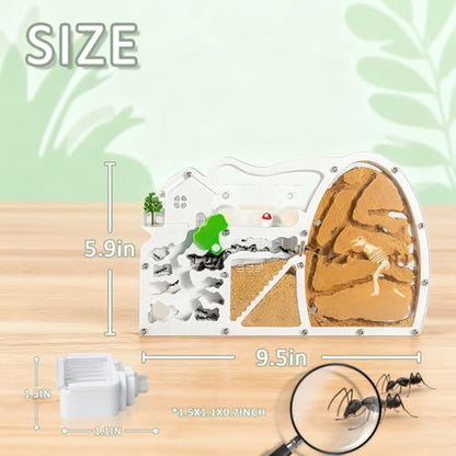 Ant Farms with Forage Box, Large Sand Ant Colony Observation Kit