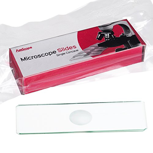 AmScope BS-C12 Concave Microscope Slides, Pack of 12, Clear - style: BS-C12