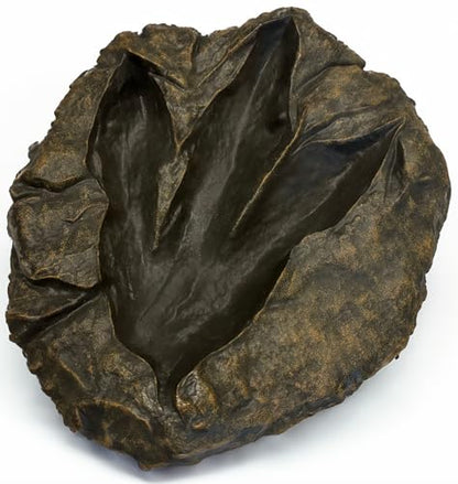 VEOJEIN Large Jurassic Dinosaur Footprint Fossil Replica – Realistic Resin Track Cast, Prehistoric Fossil Stone Décor Ancient Gift, Catch-All Tray for Keys Coins Jewelry – Shelf Decor 10.5" x 9.3"
