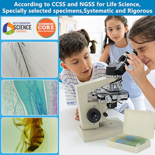 Microscope Slides with Specimens for Kids, 30 Lab-Grade Prepared Microscope Slides, Animal Plant Microbe Cells, STEM Biology Kit for Kids Ages 6-8 Homeschool, Classroom Labs & Science Education - size: Ages 6-8