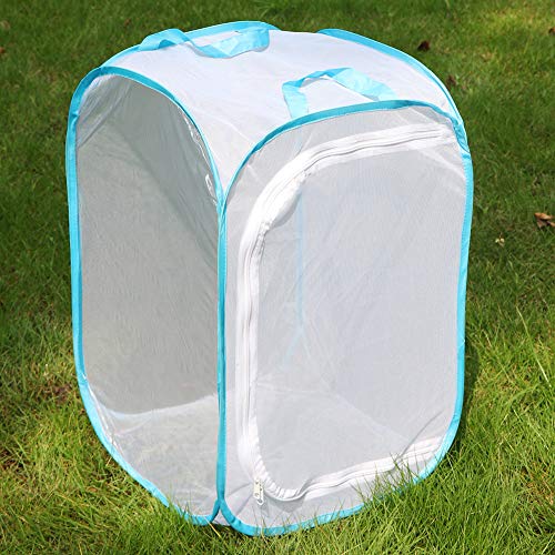 RESTCLOUD 36" Large Monarch Butterfly Habitat, Giant Collapsible Insect Mesh Cage Terrarium Pop-up 24 x 24 x 36 Inches - color: White with Blue