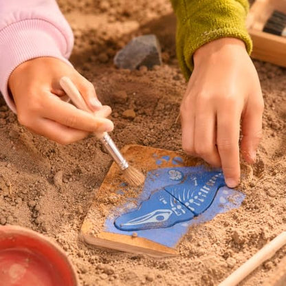 Miniland Outdoor Explorer Set, Archaeology Kit for Kids - Archaeology Kit - color: Archaeology Kit