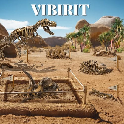 VIBIRIT Dig Up Dinosaurs Skeleton Set,Dinosaur Digging Fossil Kit Model Toys,Excavation Kits for kids5-12year,Educational Realistic Toys for Kids,Boys,Girls - style: Random