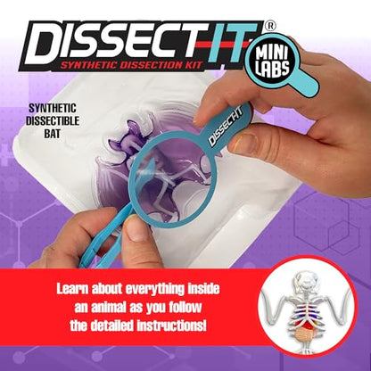 Top Secret Toys Dissect-It Mini Labs Bat Lab Dissection Kit for Kids, Realistic Synthetic Kids Science Kit - On, Biology and Animal Anatomy, STEM Toy, Ages 6+ - style: Mini Bat