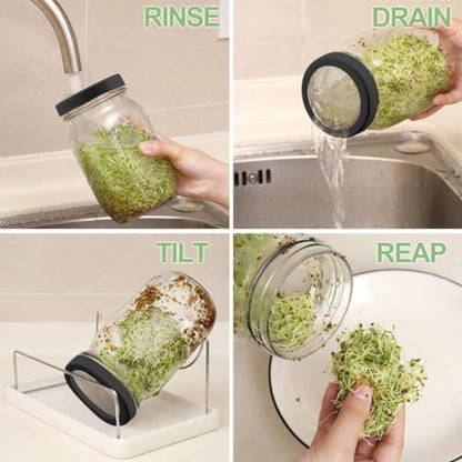 Kitmiido Organic Seed Sprouting Jar Kit – 2 × 32 oz Wide-Mouth Mason Jars with Stainless-Steel Sprouter Lids & Stand, Blackout Sleeves, Drain Tray – Grow Broccoli, Alfalfa & Bean Microgreens - color: Black