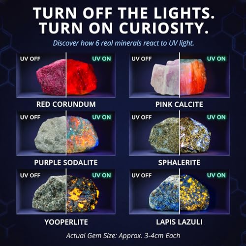 PIBEX Fluorescent Rock Science Kit, 6 Glowing Rocks, with UV Flashlight