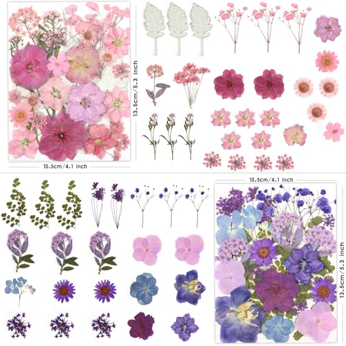 LUXEEASE 100P Pink Purple Blue Dried Pressed Flowers - color: Pink & Purple 100pcs