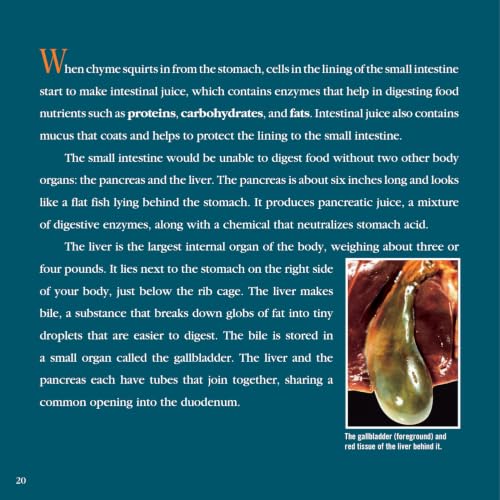 Guts: Revised Edition – Exploring How Food Becomes Energy in the Digestive System for Kids (Ages 6-10)