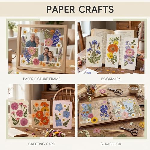 LUXEEASE 4-Color 80P Natural Dried Pressed Flowers - color: Orange/Purple/Pink/Neutral 80p