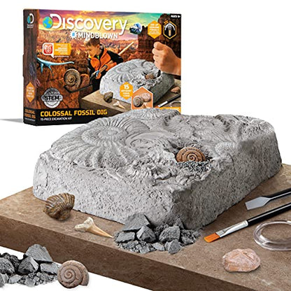 Discovery Colossal Fossil Dig Set, 15-Piece Archeology Excavation Kit, Uncover Real Shark Teeth and More, STEM Toys for Boys and Girls