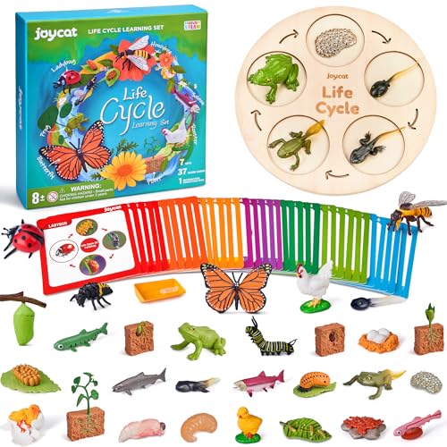 JoyCat Life Cycle Toys for Kids, 7 Animal and Plant Sets with Cards