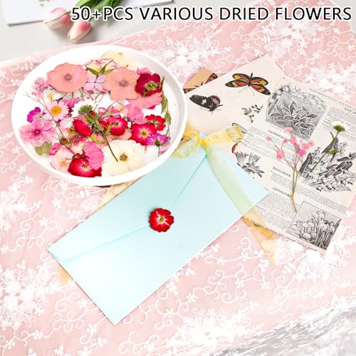 50Pcs Dried Pressed Flowers Real Pressed Flowers Natural Dry Leaves Bulk Mixed Colorful Herbs Kit with Tweezers for Scrapbooking DIY Candle Jewelry Crafts Making Nails (Pink) - color: Pink