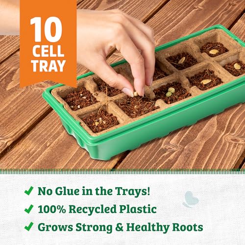 Back to the Roots 10-Cell Greenhouse Germination Kit | Includes Biodegradable Pots & Vented Greenhouse Lid | Made from 75% Recycled Plastic, 3 inches (Pack of 12) - size: 3 inches (Pack of 12), style: 10-Cell Germination Kit