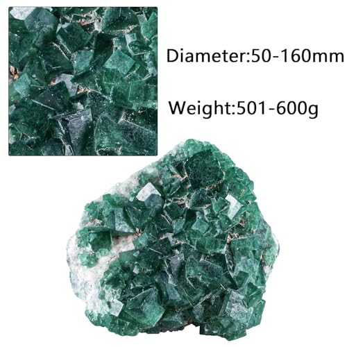Sportmusies Natural Green Fluorite Crystal Cluster, 1.97-6.3 inches - size: 1.97 - 6.3 Inch